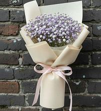 Букет цветов из:  Гипсофила #REPLACE_PRED# им 9 Января
