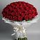Букет 101 Красная роза Блэк Мэджик в им 9 Января