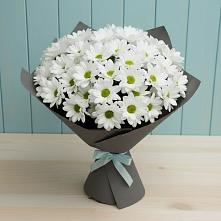 Букет цветов из:  Хризантемы #REPLACE_PRED# им 9 Января