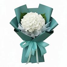 Букет цветов из:  Гортензия в им 9 Января
